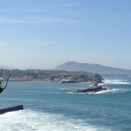 Elegant Appartement A St-Jean-De-Luz - Proche Plage & Commerces - Fr-1-239-851 생장드루즈 외부 사진